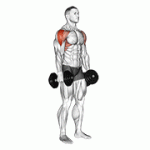 Fito App Dumbbell Lateral Raise exercise demonstration with how-to guide and tips.