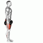 Fito App Dumbbell Lunge exercise demonstration with how-to guide and tips.