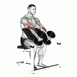 Fito App Dumbbell Peacher Hammer Curl exercise demonstration with how-to guide and tips.