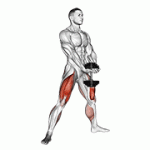 Fito App Dumbbell Plyo Squat exercise demonstration with how-to guide and tips.