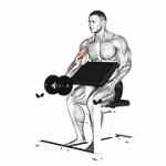 Fito App Dumbbell Preacher Curl exercise demonstration with how-to guide and tips.