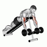 Fito App Dumbbell Prone Incline Curl exercise demonstration with how-to guide and tips.