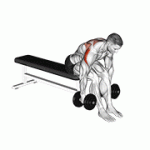 Fito App Dumbbell Rear Fly exercise demonstration with how-to guide and tips.
