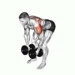 Fito App Dumbbell Rear Lateral Raise exercise demonstration with how-to guide and tips.