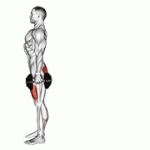 Fito App Dumbbell Rear Lunge exercise demonstration with how-to guide and tips.