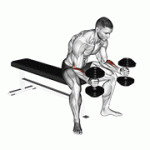 Fito App Dumbbell Seated Neutral Wrist Curl exercise demonstration with how-to guide and tips.