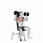 Fito App Dumbbell Seated Shoulder Press exercise demonstration with how-to guide and tips.