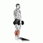 Fito App Dumbbell Standing Calf Raise exercise demonstration with how-to guide and tips.