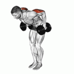Fito App Dumbbell Standing Kickback exercise demonstration with how-to guide and tips.
