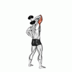 Fito App Dumbbell Standing One Arm Extension exercise demonstration with how-to guide and tips.