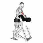 Fito App Dumbbell Standing Preacher Curl exercise demonstration with how-to guide and tips.