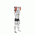 Fito App Dumbbell Standing Triceps Extension exercise demonstration with how-to guide and tips.