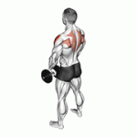 Fito App Dumbbell Upright Row exercise demonstration with how-to guide and tips.