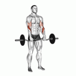 Fito App EZ Barbell Reverse Grip Curl exercise demonstration with how-to guide and tips.