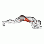 Fito App Front Plank exercise demonstration with how-to guide and tips.