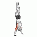 Fito App Handstand Push up exercise demonstration with how-to guide and tips.