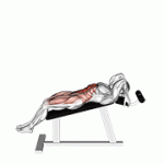 Fito App Incline Leg Hip Raise (leg Straight) exercise demonstration with how-to guide and tips.