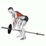 Fito App Lever Bent Over Row (plate Loaded) exercise demonstration with how-to guide and tips.