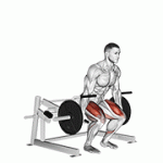 Fito App Lever Deadlift exercise demonstration with how-to guide and tips.