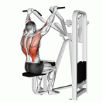 Fito App Lever Front Pulldown exercise demonstration with how-to guide and tips.