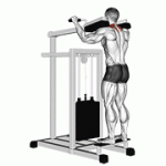 Fito App Lever Gripless Shrug exercise demonstration with how-to guide and tips.