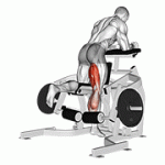 Fito App Lever Kneeling Leg Curl exercise demonstration with how-to guide and tips.