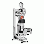 Fito App Lever Kneeling Twist exercise demonstration with how-to guide and tips.