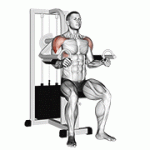 Fito App Lever Lateral Raise exercise demonstration with how-to guide and tips.