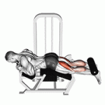 Fito App Lever Lying Leg Curl exercise demonstration with how-to guide and tips.