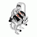 Fito App Lever Preacher Curl exercise demonstration with how-to guide and tips.