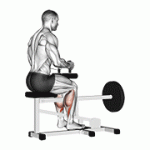 Fito App Lever Seated Calf Raise (plate Loaded) exercise demonstration with how-to guide and tips.
