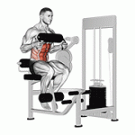 Fito App Lever Seated Crunch (chest Pad) exercise demonstration with how-to guide and tips.