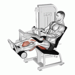Fito App Lever Seated Leg Curl exercise demonstration with how-to guide and tips.