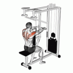 Fito App Lever Seated Reverse Fly exercise demonstration with how-to guide and tips.