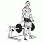 Fito App Lever Shrug (plate Loaded) exercise demonstration with how-to guide and tips.