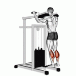 Fito App Lever Standing Calf Raise exercise demonstration with how-to guide and tips.