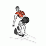 Fito App Lever T Bar Row exercise demonstration with how-to guide and tips.