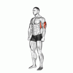 Fito App Overhead Triceps Stretch exercise demonstration with how-to guide and tips.