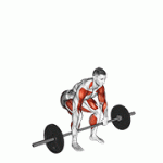 Fito App Power Clean exercise demonstration with how-to guide and tips.