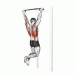 Fito App Pull up exercise demonstration with how-to guide and tips.
