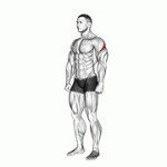 Fito App Rear Deltoid Stretch exercise demonstration with how-to guide and tips.