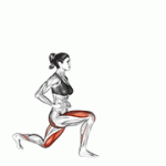 Fito App Reverse Lunge (leg Kick) exercise demonstration with how-to guide and tips.