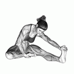 Fito App Seated Single Leg Hamstring Stretch exercise demonstration with how-to guide and tips.