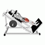 Fito App Sled Hack Squat exercise demonstration with how-to guide and tips.