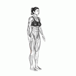 Fito App Standing Hamstring Stretch exercise demonstration with how-to guide and tips.