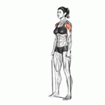 Fito App Standing Lateral Raise (with Band) exercise demonstration with how-to guide and tips.