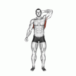 Fito App Standing Lateral Stretch exercise demonstration with how-to guide and tips.