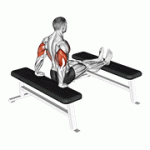 Fito App Triceps Dip (bench Leg) exercise demonstration with how-to guide and tips.