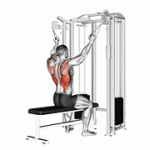 Fito App Twin Handle Parallel Grip Lat Pulldown exercise demonstration with how-to guide and tips.
