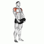 Fito App Weighted Front Raise exercise demonstration with how-to guide and tips.
